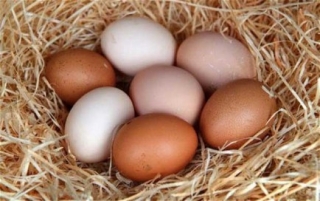 Αυγά και Υγεία
